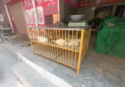 fd98cf0b-2d74-43b5-b185-8ed75e4af308