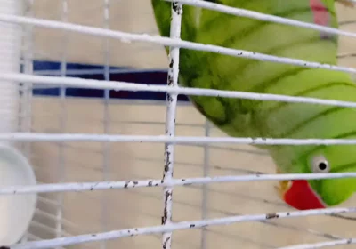 fdf722b1-f842-458d-9f66-368ca95459f9