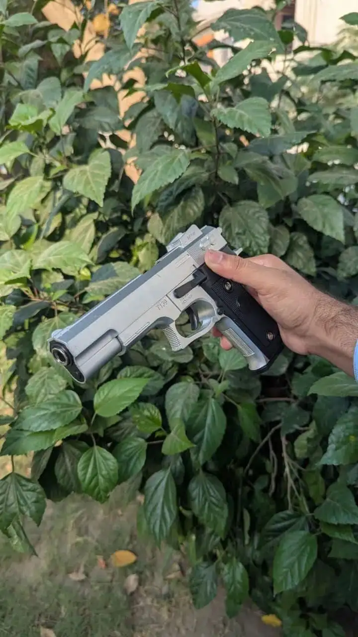 Silver metal gun