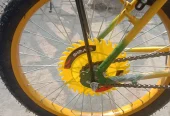 New 20 inch cycle