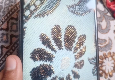 454ec164-9962-48f5-b52f-ba7f867157ea