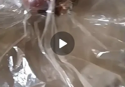 45f31dd0-0c7a-458e-bc02-1cd4851cf88a