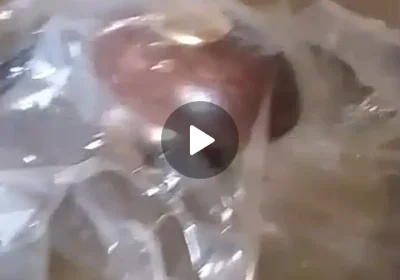 6967f08d-28a4-40b8-ae4f-742450816028