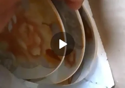 6a2e04c5-8927-45bb-988f-6cd88ef136f2