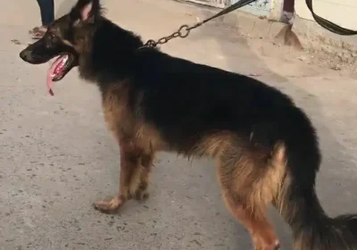 84562c70-588e-4a73-8c28-fa682333be2d