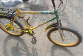 New 20 inch cycle