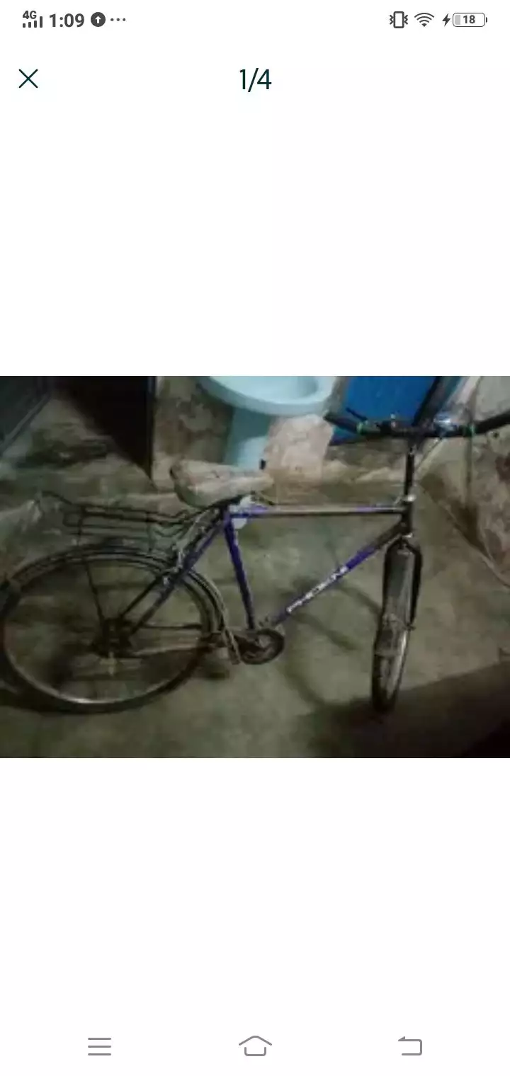 phoinex cycle Wtp 03204847881