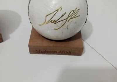 8d5d805a-8f22-4b46-8ba2-646fbb1702ab