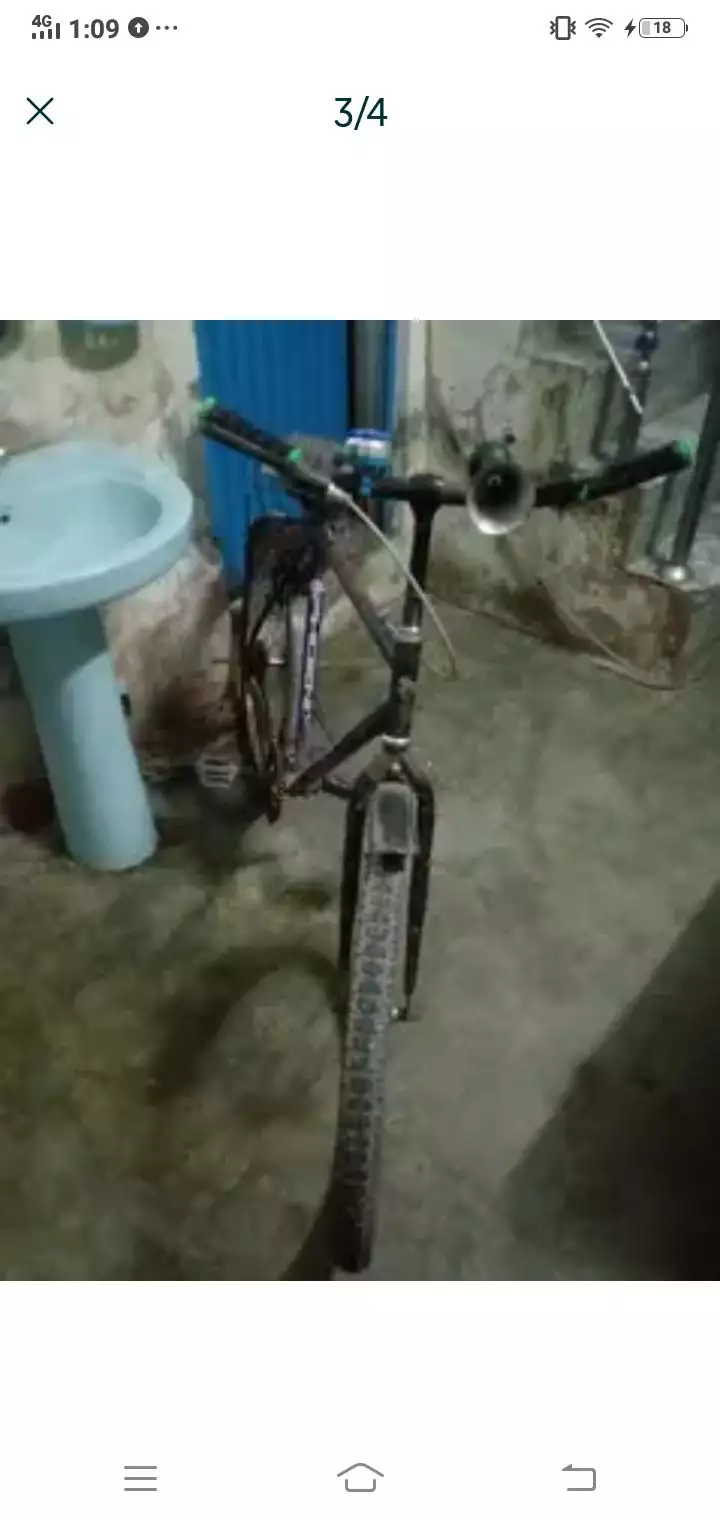 phoinex cycle Wtp 03204847881