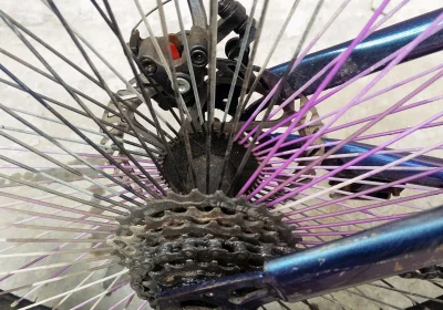 9404d028-70d1-4270-a349-4cf379777e95