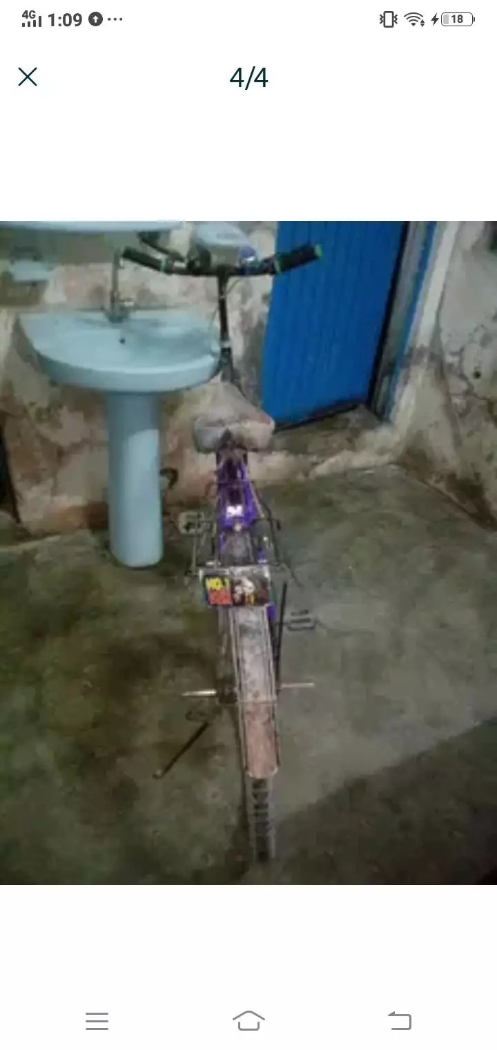 phoinex cycle Wtp 03204847881