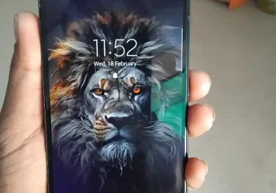 Screenshot_20260221-223248_Gallery