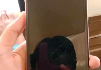 b4efcc9d-2697-44cd-a905-a79589bbf83c