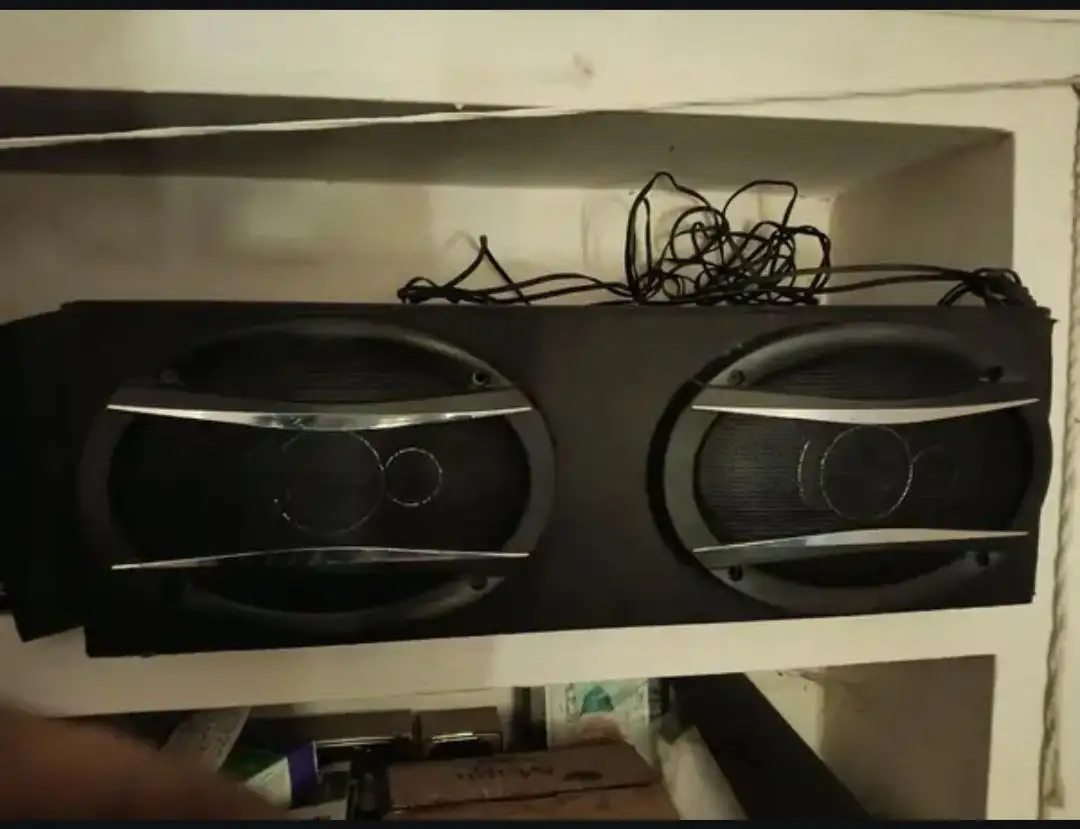 Car audio sapker