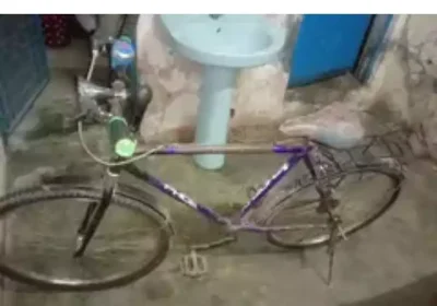 d74d912e-8551-40e4-a68d-f79e3341f395