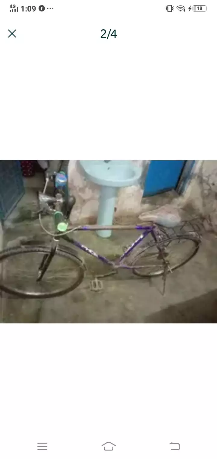 phoinex cycle Wtp 03204847881