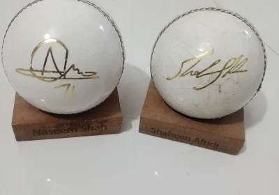 f05065c7-a4e0-419f-9720-b975145aa962