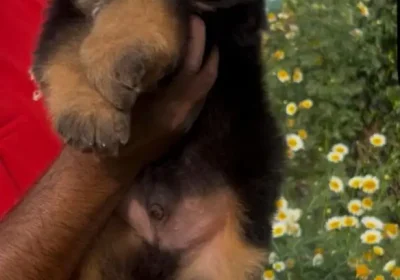 0533e44c-4f20-431f-aaa2-40f7829bd8fb