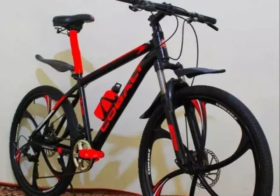 0788a90c-0c70-4075-bac2-76d66fef7919