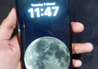 0fb628d7-031e-4360-95e9-84540b48e151