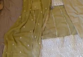 Embroidered Eid wear in olive green and pink colour