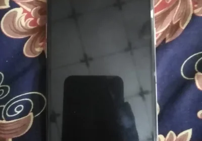 13392574-4b22-4298-9010-1a21cb0b1d99