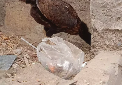 1d388092-da29-4827-b650-d507960c1966