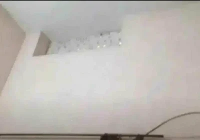 23d02da2-1077-4ac1-bf3c-b57ca408754a