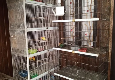 268dfb46-2a0e-453c-a31a-cc8fda43e0df