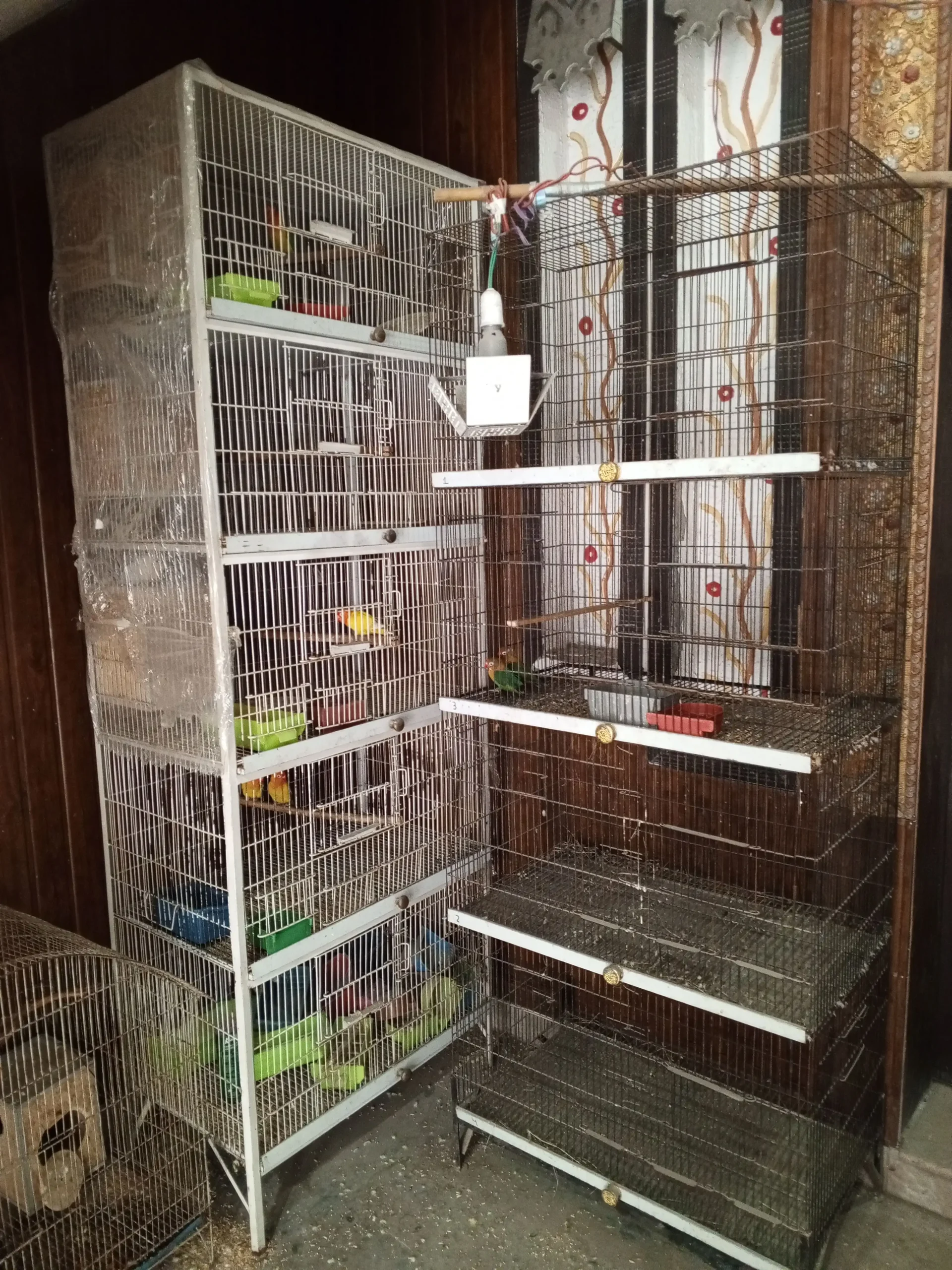 2Cage Angel & With out Angel