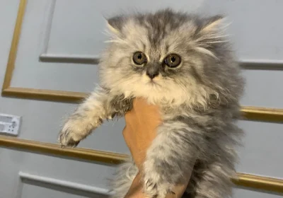 28df9525-ecbe-400d-b316-c3993d457ce9