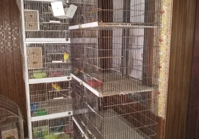 29412286-8de1-4ac6-a1c0-7c2d32e81550