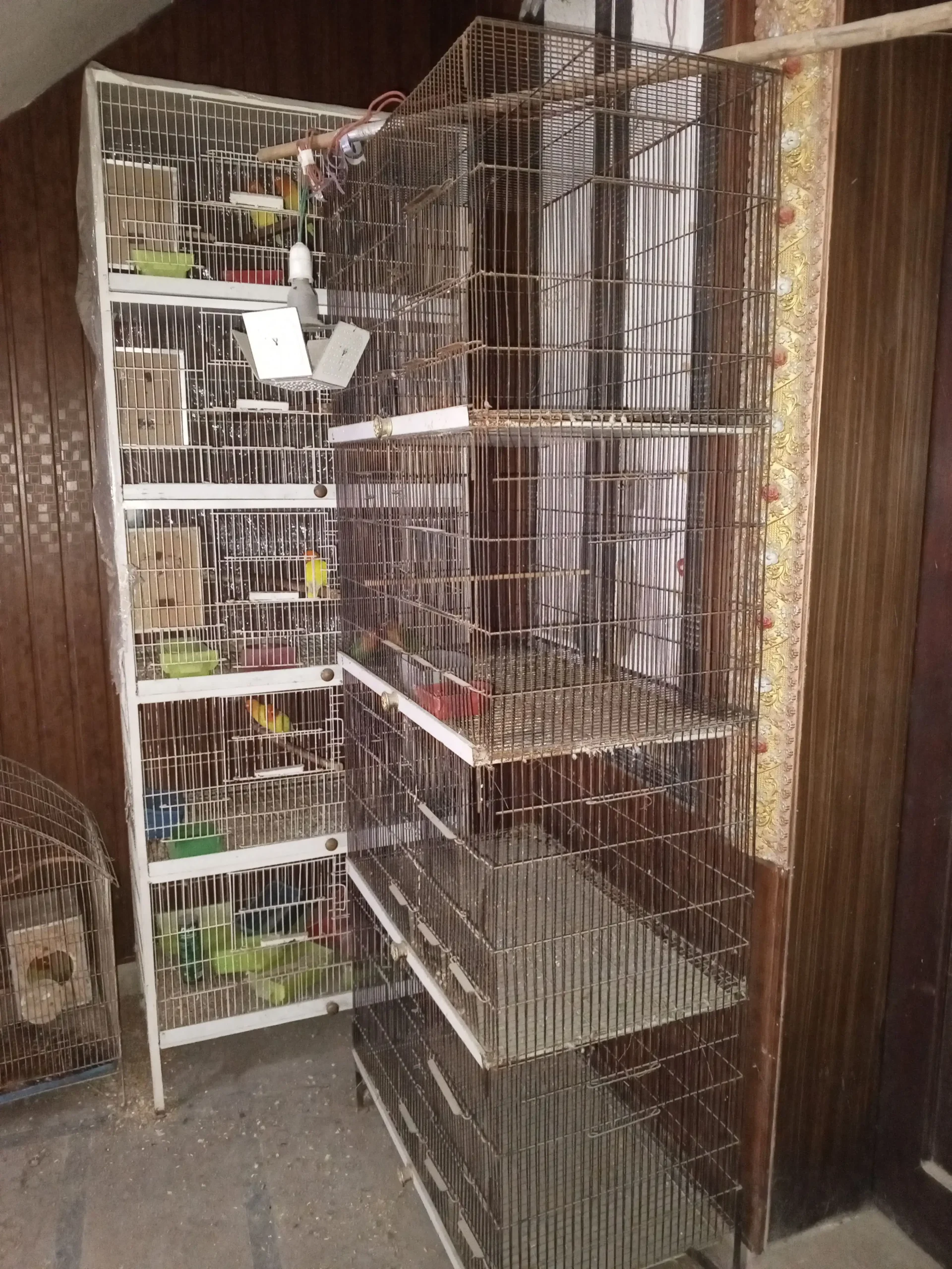 2Cage Angel & With out Angel