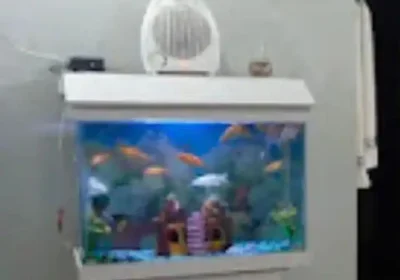 2a4acf30-ab7e-4d28-8d58-4d07e6029a47