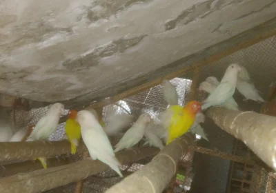 3b700dce-6502-4c54-a9d0-a87d11f4517d-2