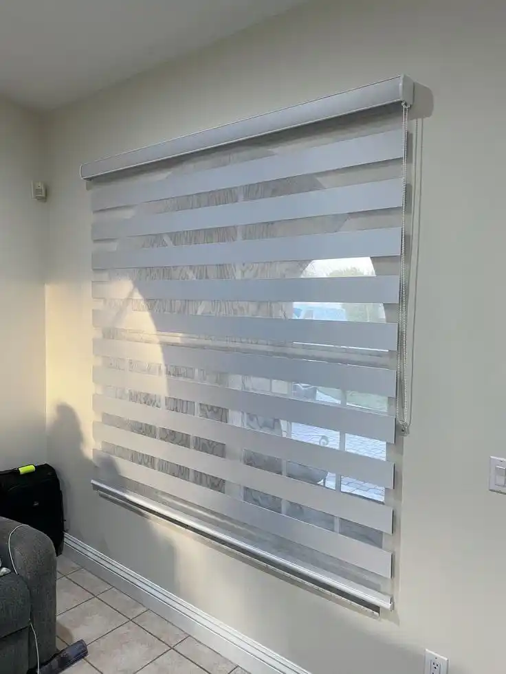 Modern Roller Zebra Blinds & Window Curtains for Home & Office Decor