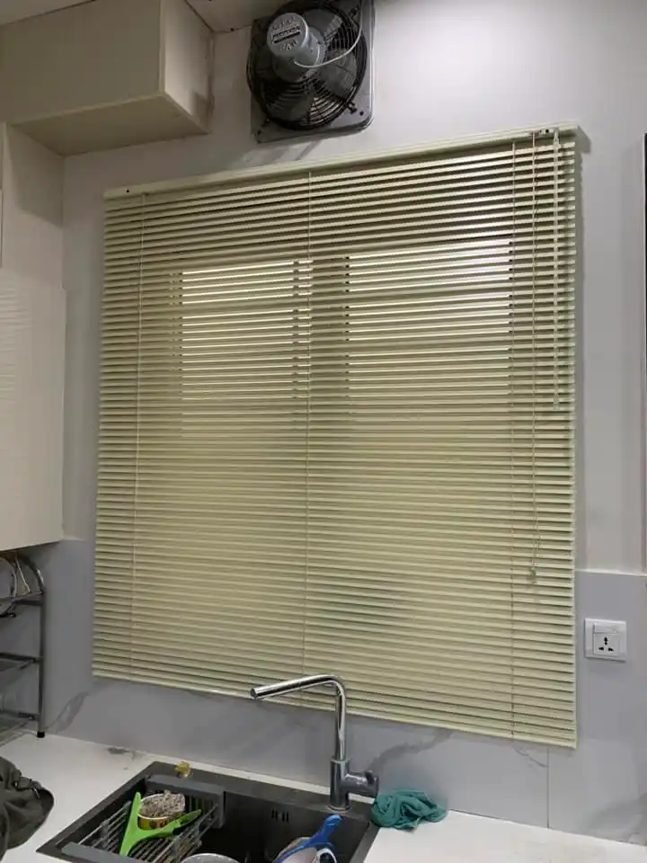 Modern Roller Zebra Blinds & Window Curtains for Home & Office Decor