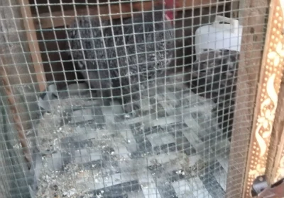 4b0740c4-7da8-4247-9986-ec8086c3969c