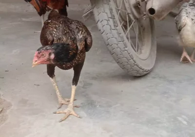 4c14f026-3028-4f66-a9f0-e425cf5d2fbd