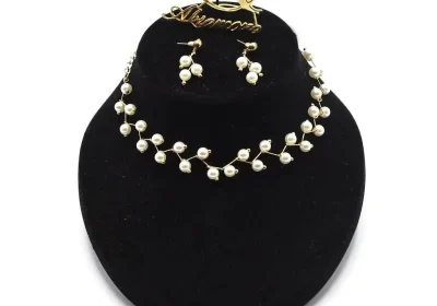 525a9815-1b14-488f-b287-ceb6116d84c1