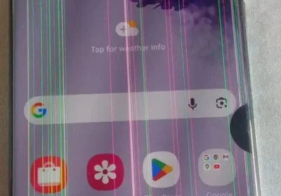 5a350255-7377-4e85-89f0-5c76cafe29b6