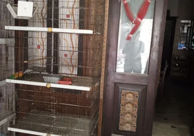 5c7b01c4-b9b0-4784-aa3d-b19960c993cd