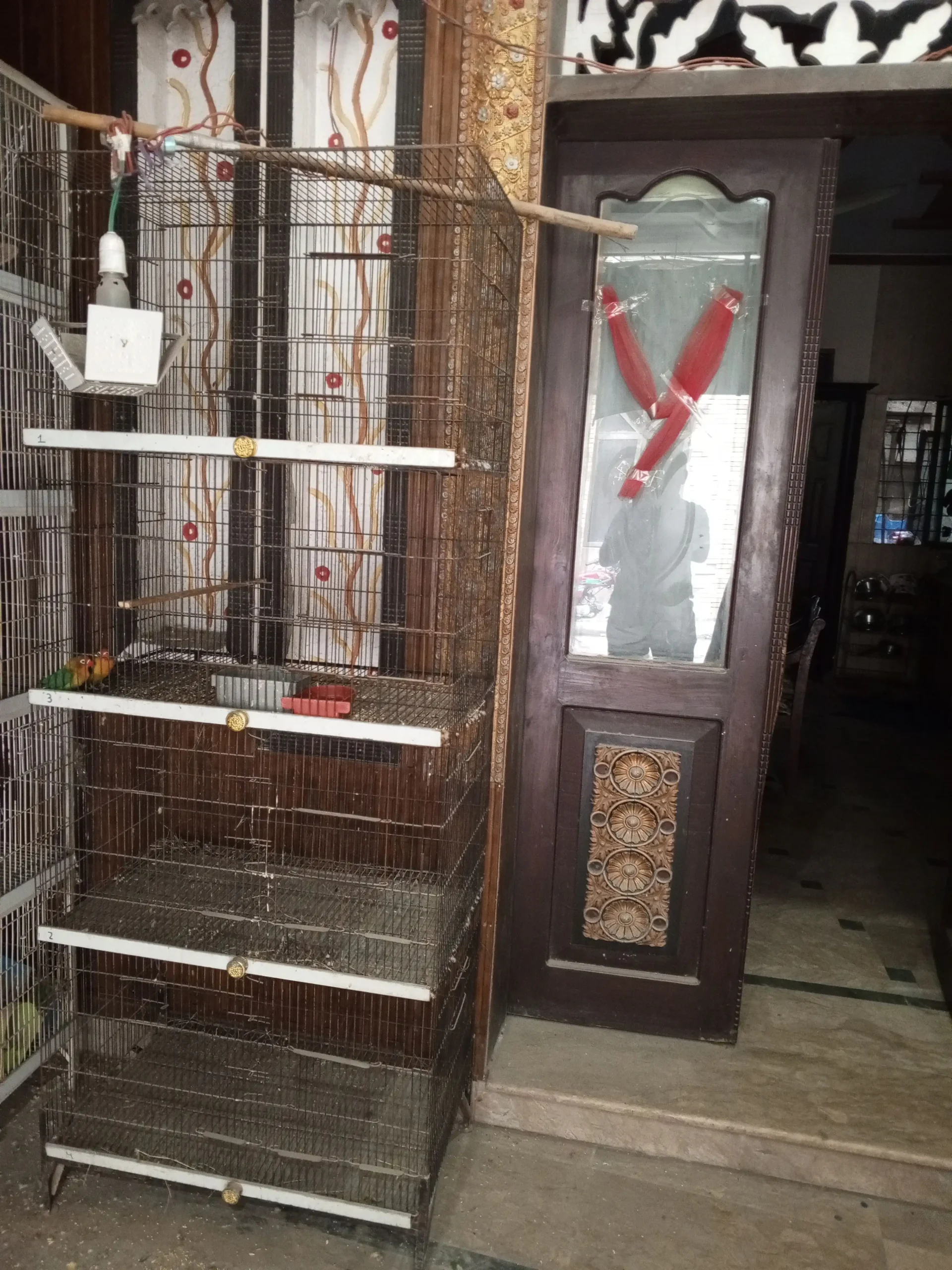 2Cage Angel & With out Angel