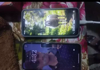 72ff9e87-843c-4b56-9401-a758c885c4ed