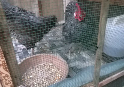 762b2f64-2c97-4f5e-adaa-f5593294ab2d