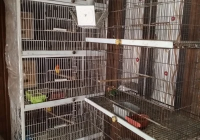 7ba0406a-55c5-44f0-afd4-17275b74643f