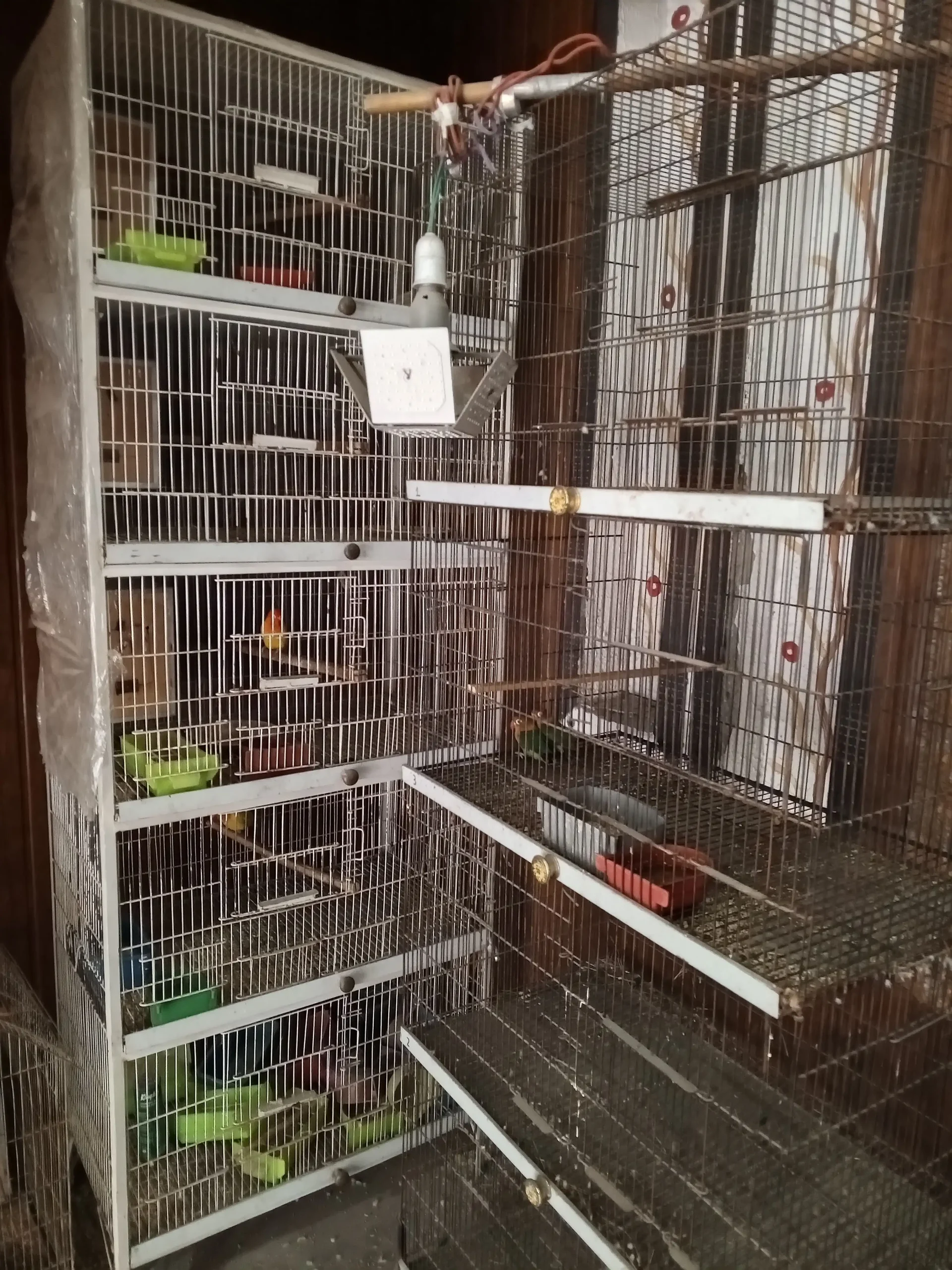 2Cage Angel & With out Angel