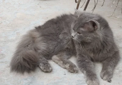 8335b676-072a-4d42-8b02-47c29574d865