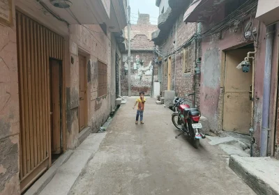 8888a0cb-7a3f-413b-bc69-7a1352a9c59c