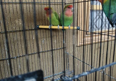 93568621-36b1-4f7c-9016-a90afa36540d